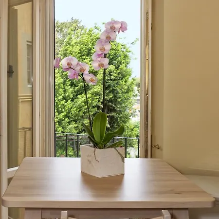 Lauri Loft Guest house
