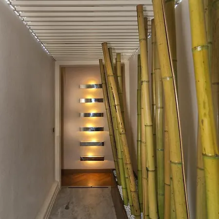 Lauri Loft Pisa